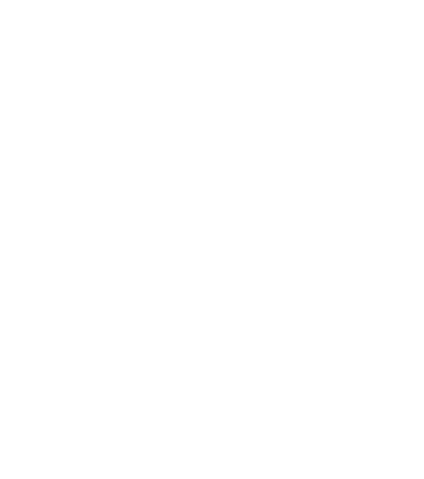 Florida Man Records™ logo
